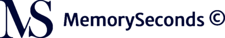 memoryseconds logó referencia